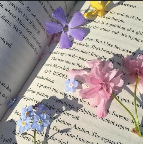 Book Club: About Life, Death and All This Space in Between